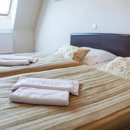 奥林匹克ii酒店 4*